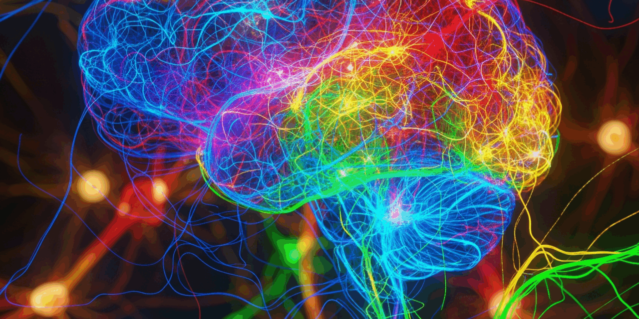 Cerebros en red: lo que la neurociencia nos enseña sobre la lateralización hemisférica y efectividad del marketing