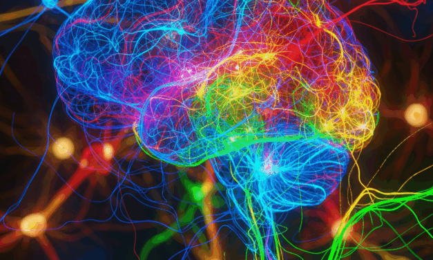 Cerebros en red: lo que la neurociencia nos enseña sobre la lateralización hemisférica y efectividad del marketing